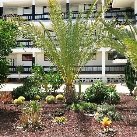 100 Meters From The Ocean *