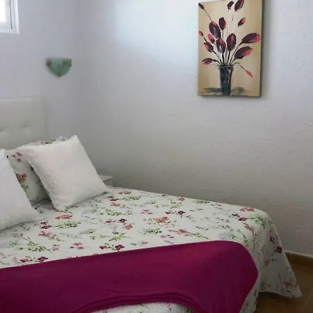 100 Meters From The Ocean