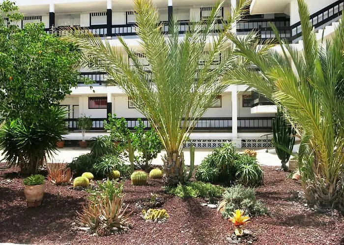 100 Meters From The Ocean *